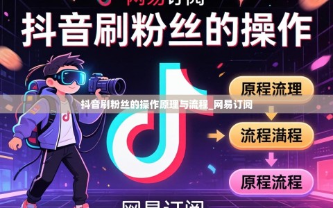 抖音刷粉丝的操作原理与流程_网易订阅