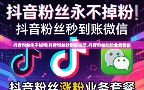 抖音粉丝永不掉粉|抖音粉丝秒到账微信,抖音粉丝涨粉业务套餐