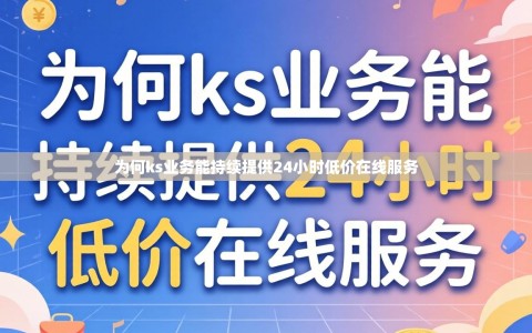 为何ks业务能持续提供24小时低价在线服务