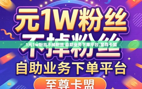 1元1w粉丝不掉粉丝 自助业务下单平台,至尊卡盟