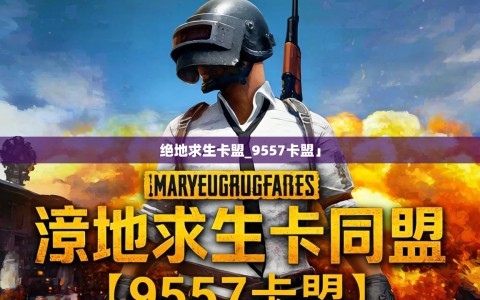 绝地求生卡盟_9557卡盟」