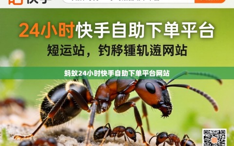 蚂蚁24小时快手自助下单平台网站