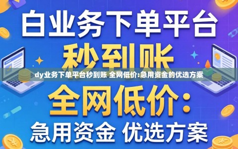 dy业务下单平台秒到账 全网低价:急用资金的优选方案