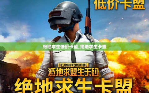 绝地求生低价卡盟_绝地求生卡盟