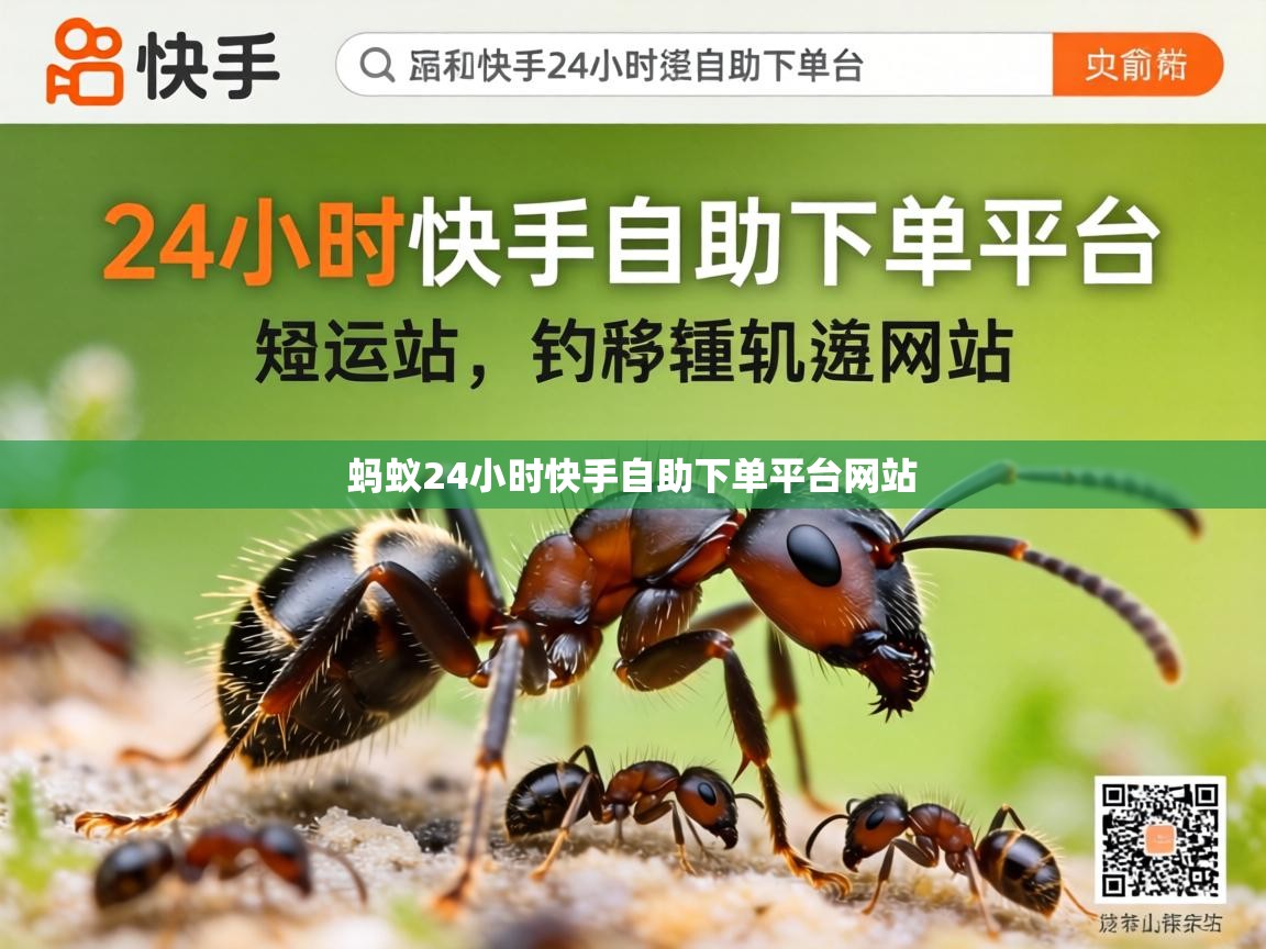 蚂蚁24小时快手自助下单平台网站