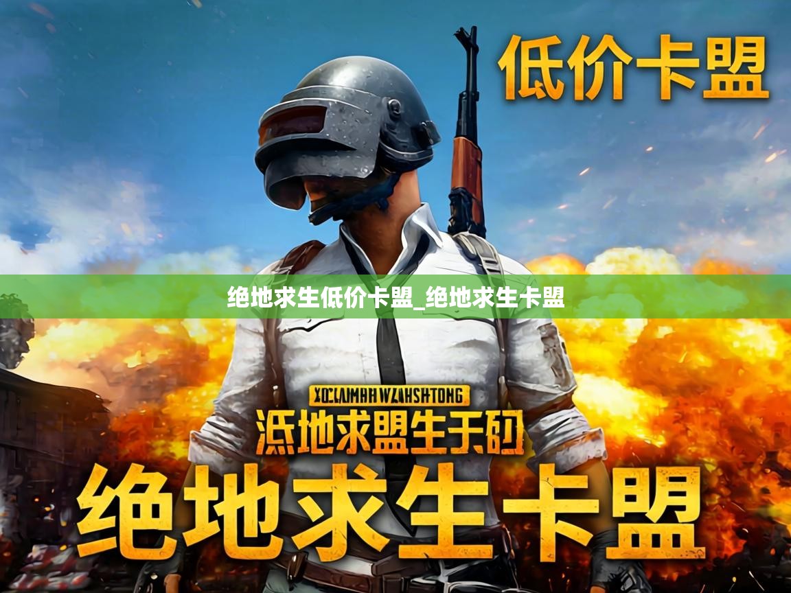 绝地求生低价卡盟